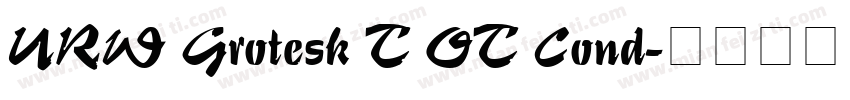 URW Grotesk T OT Cond字体转换